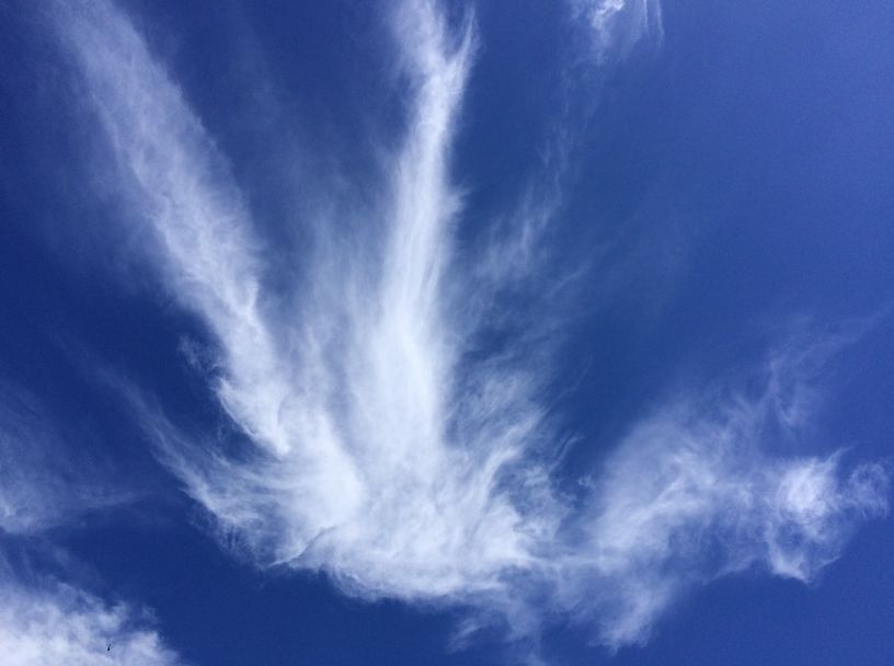 鳳凰のような雲の写真