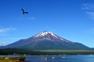 富士山と鷹の画像