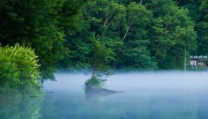 霧と湖イメージ画像